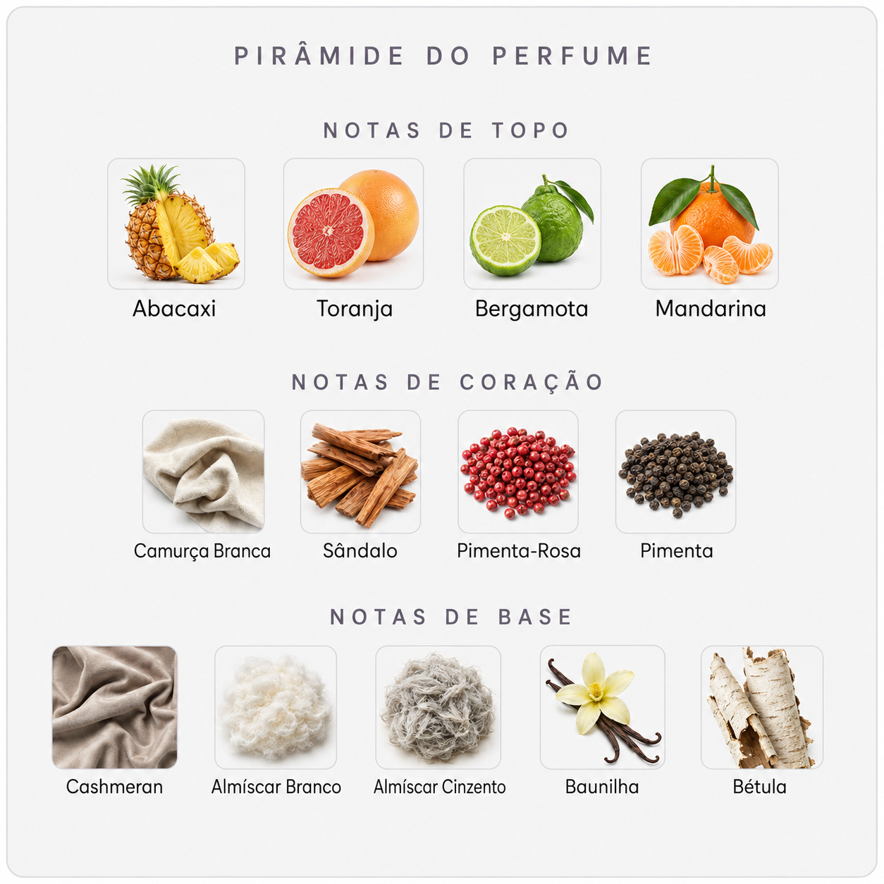 Pirâmide olfativa do BDK Crème de Cuir