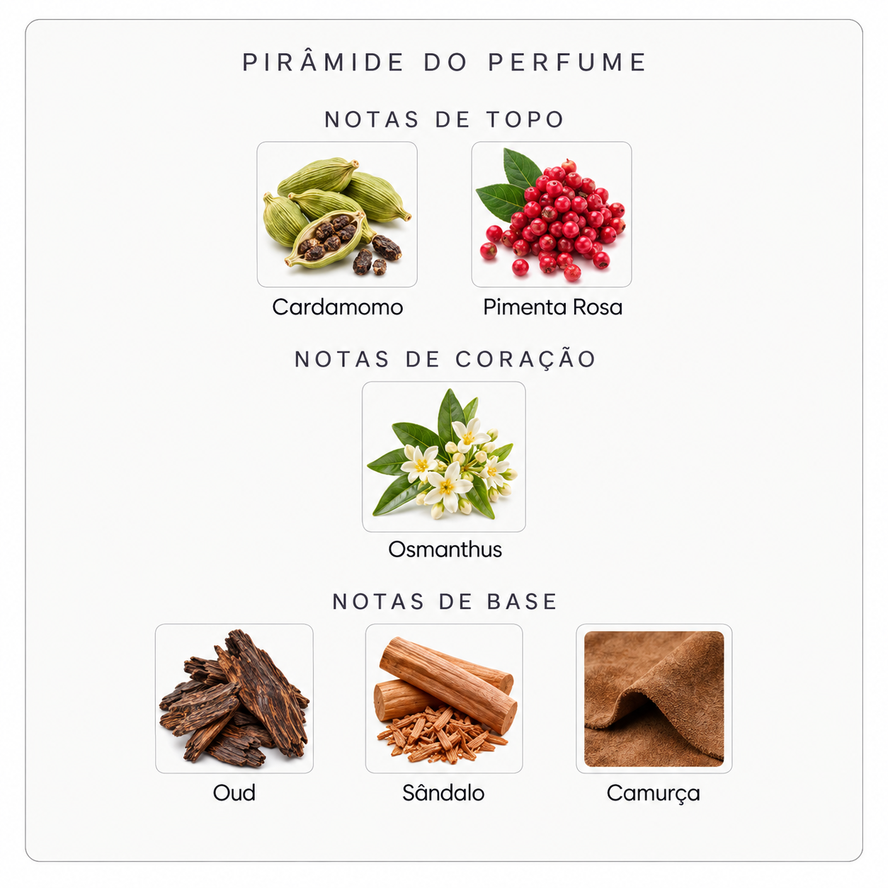 Pirâmide olfativa do Nishane Kredo