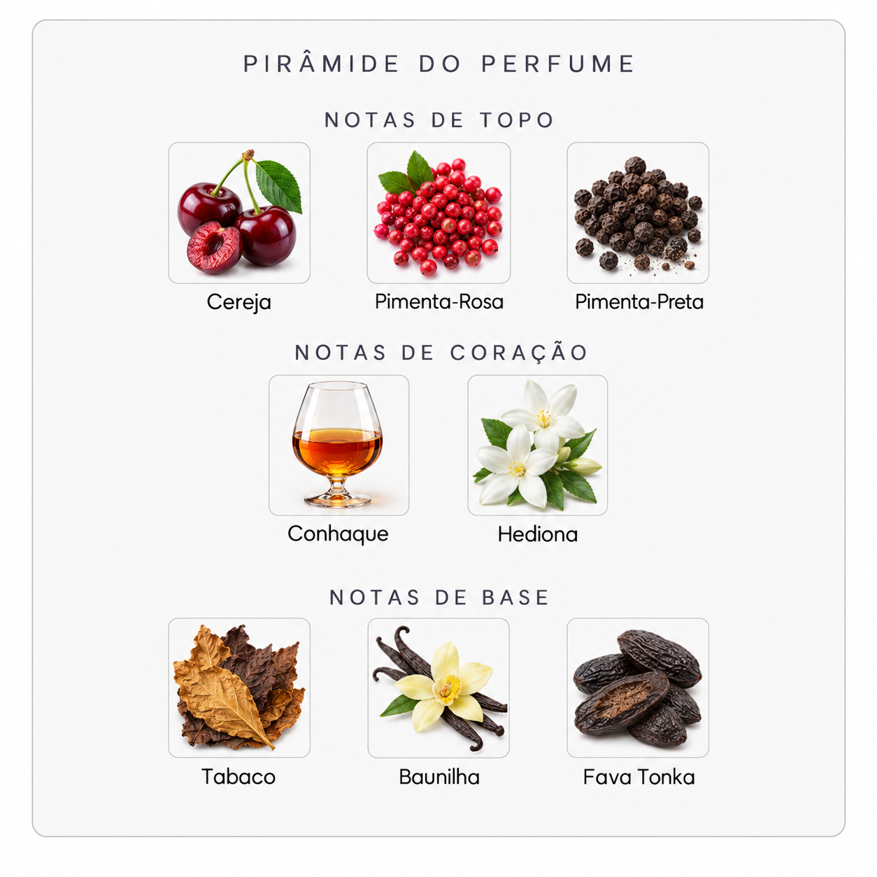 Pirâmide olfativa do Initio Narcotic Delight