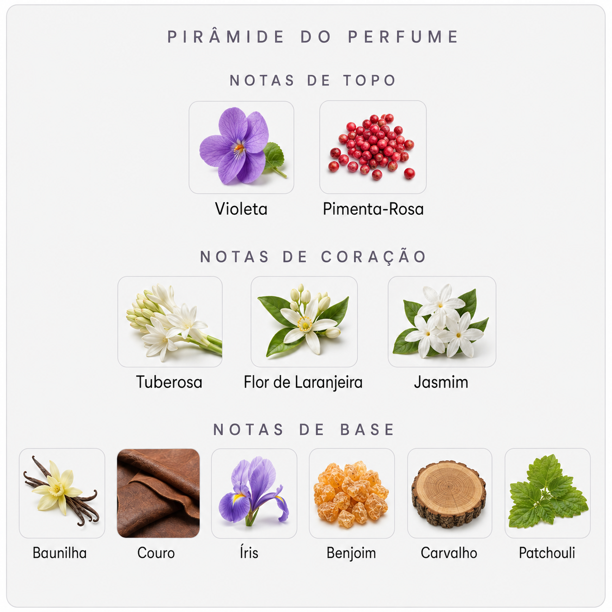 Pirâmide olfativa do BDK Vanille Leather