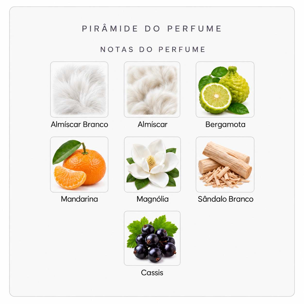 Notas do Initio Musk Therapy