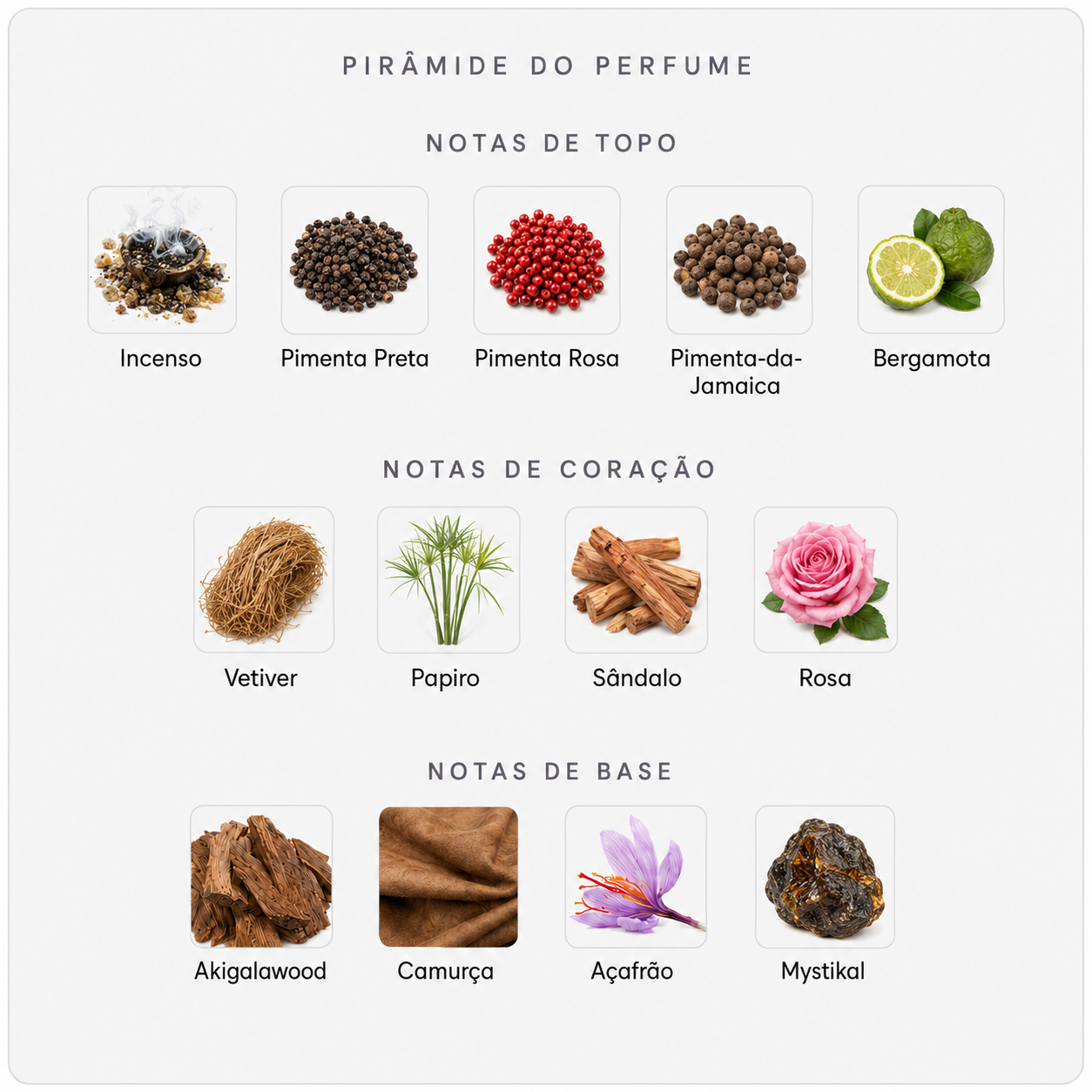 Pirâmide olfativa Amouage Purpose