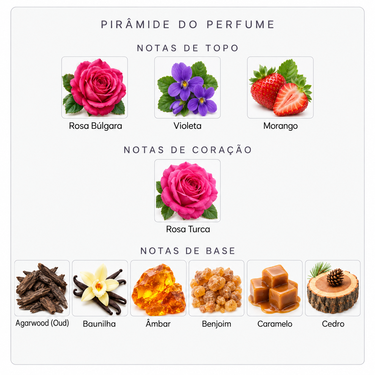 Pirâmide olfativa do Oud Satin Mood