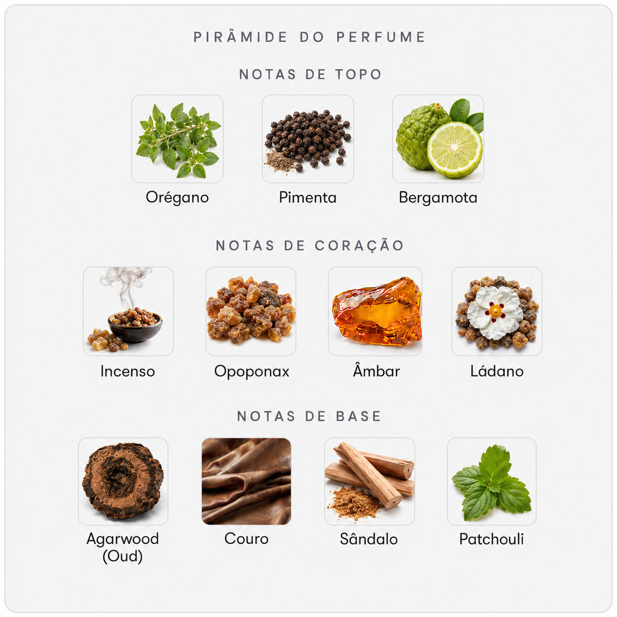 Pirâmide olfativa Amouage Interlude Man