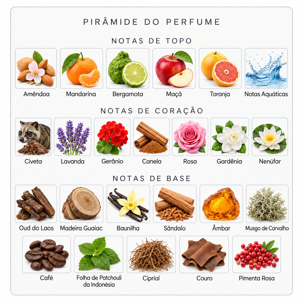 Pirâmide olfativa Parfums de Marly Layton Exclusif