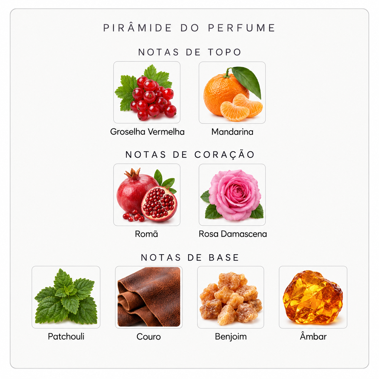 Pirâmide olfativa do perfume Mind Games J’Adoube