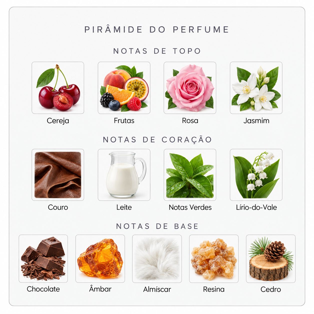 Pirâmide olfativa Sospiro Prima Donna