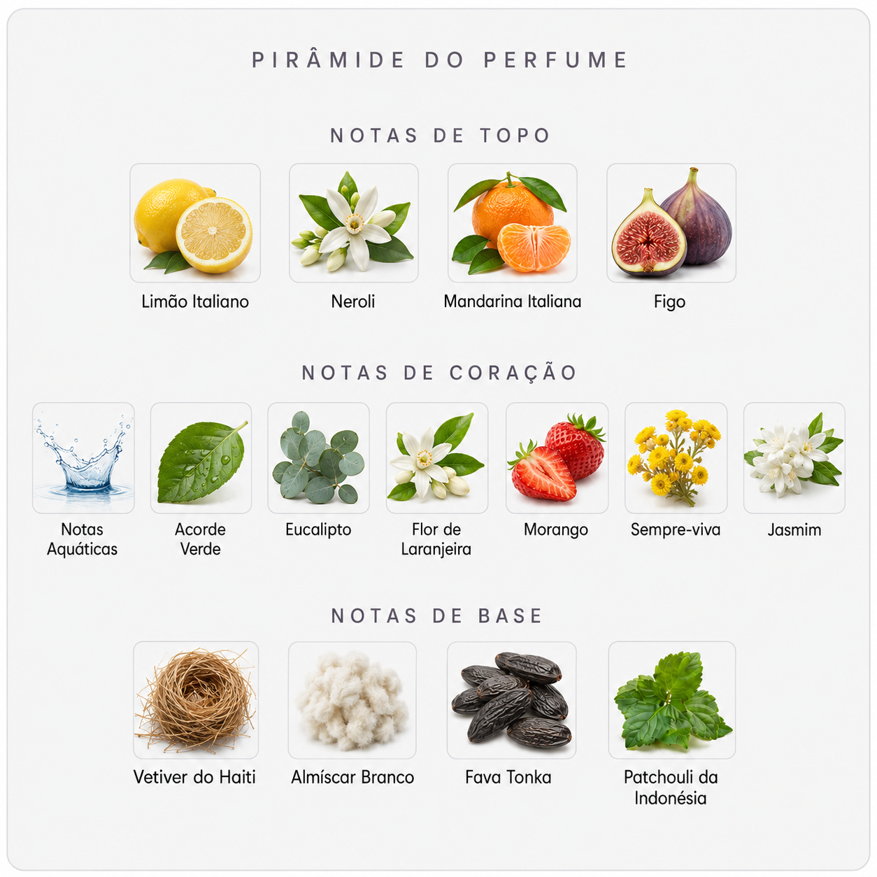 Pirâmide olfativa do BDK Citrus Riviera