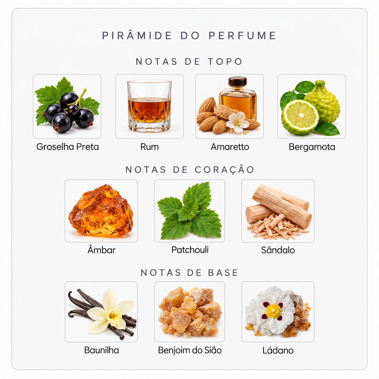 Pirâmide olfativa Sospiro Il Padrino