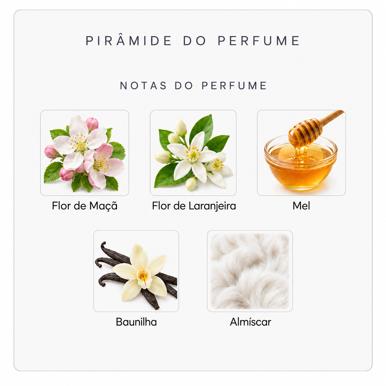 Notas do Initio Addictive Vibration