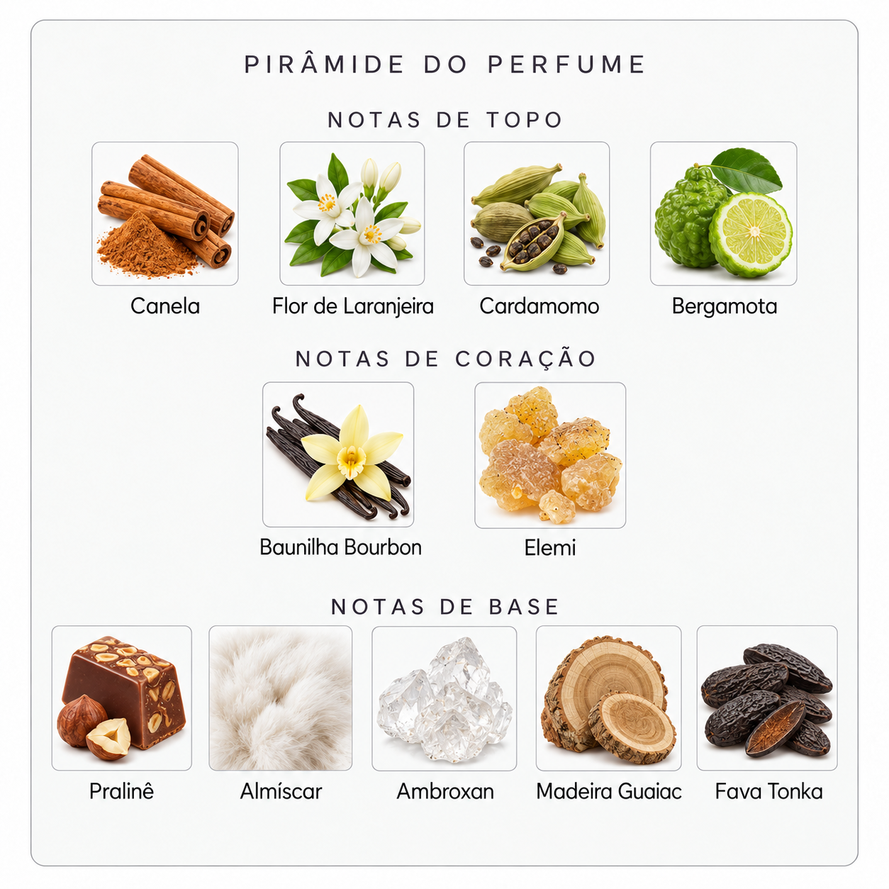 Pirâmide olfativa Parfums de Marly Althaïr
