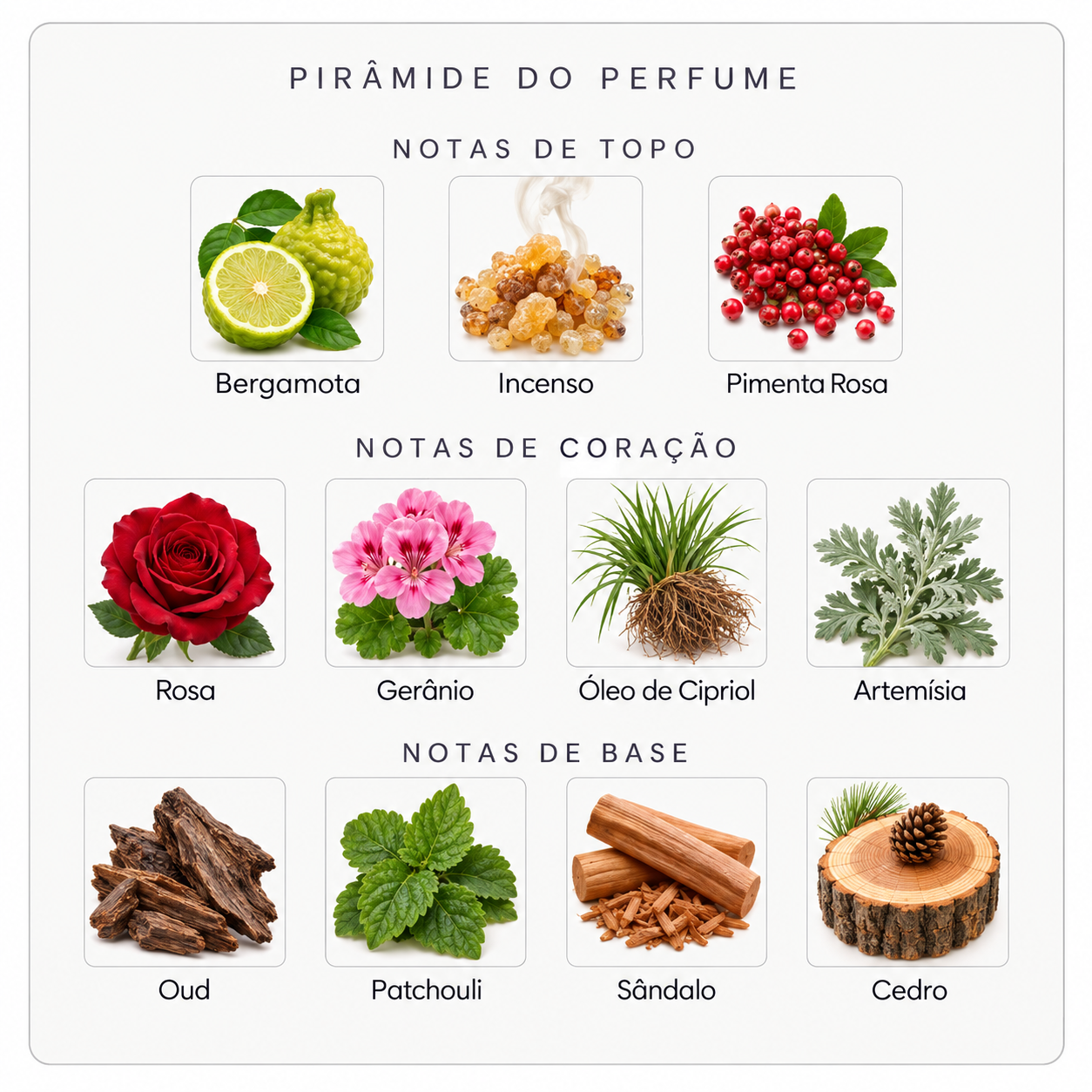 Pirâmide olfativa do Nishane Favonius