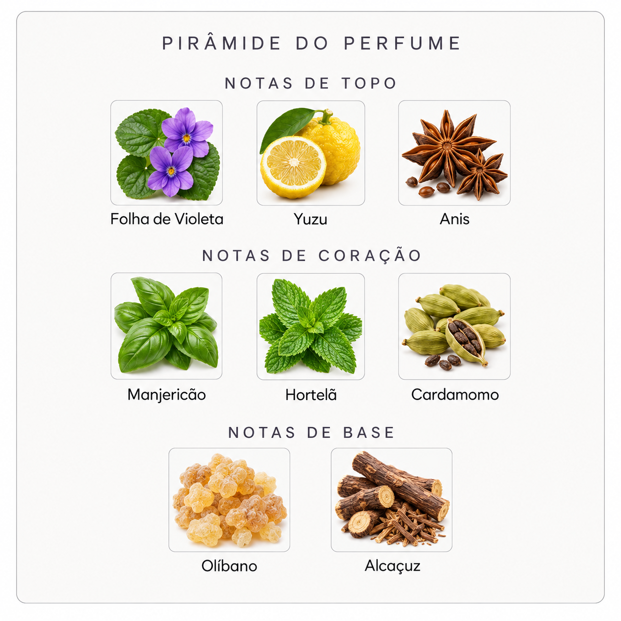 Pirâmide olfativa do Nishane EGE