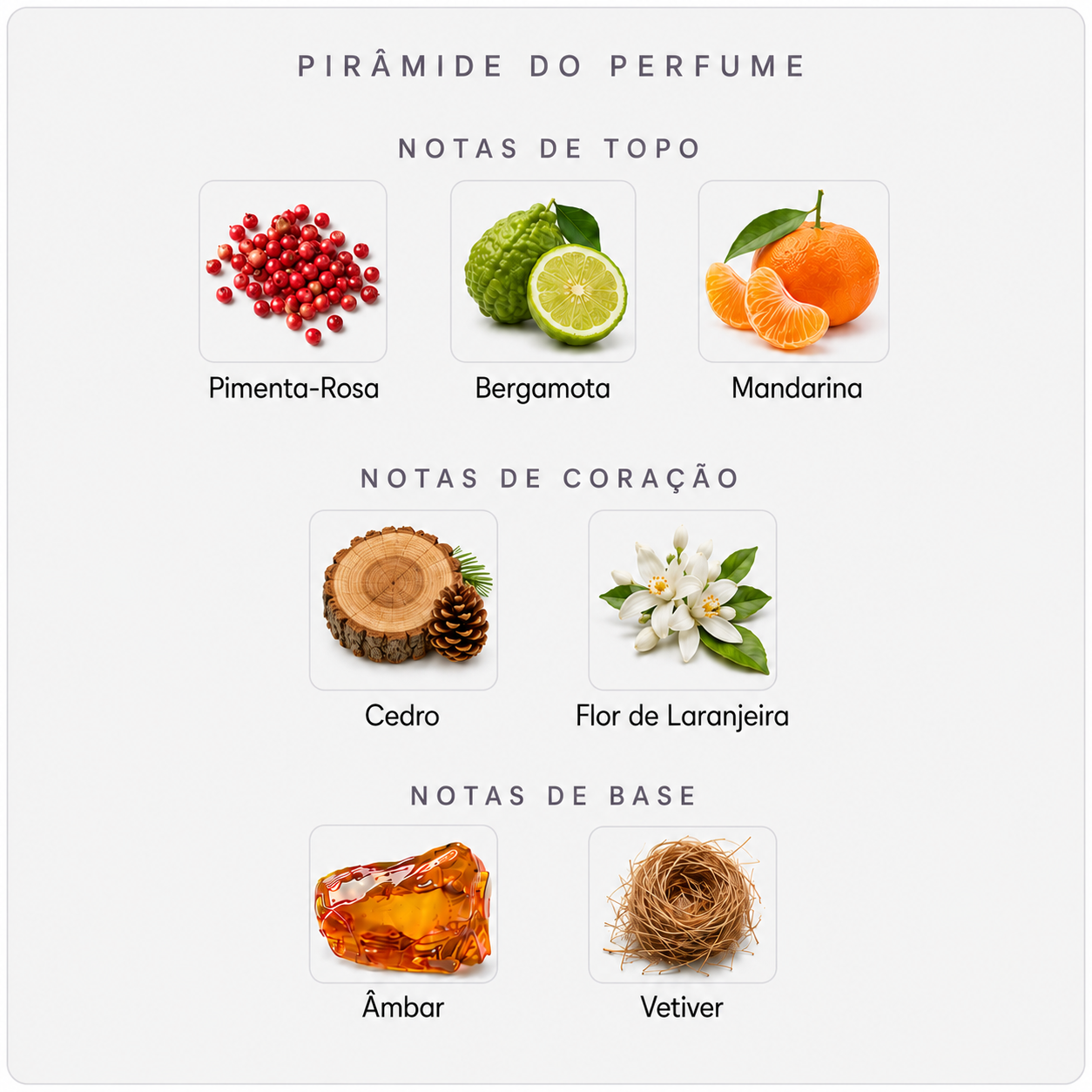 Pirâmide olfativa do Fragrance Du Bois Lucius