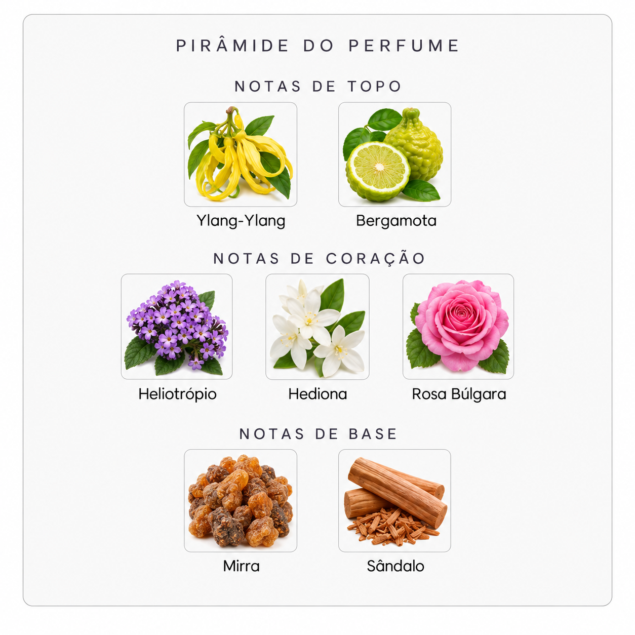 Pirâmide olfativa do Initio Psychedelic Love