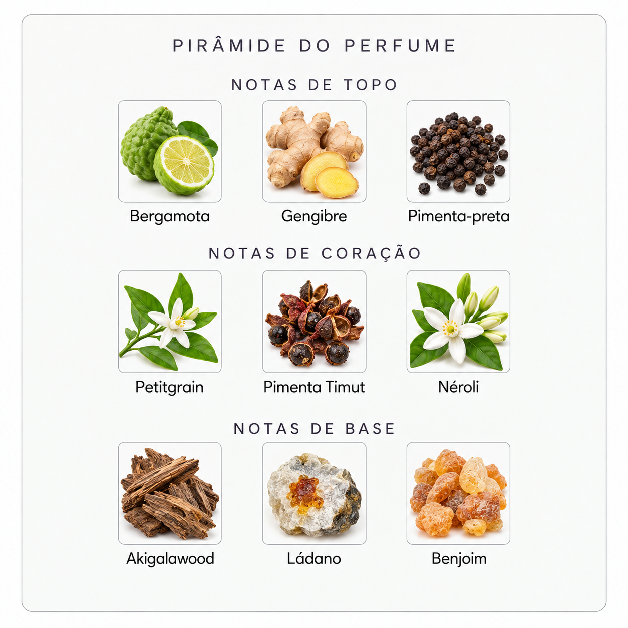 Pirâmide olfativa Parfums de Marly Castley