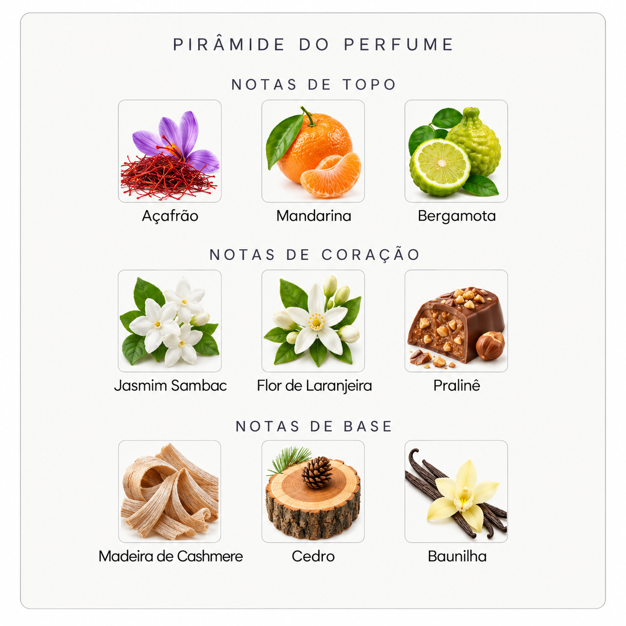Pirâmide olfativa do Nishane Tempfluo
