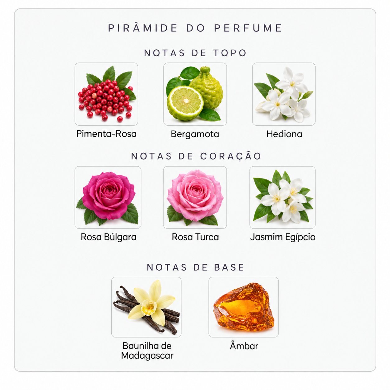 Pirâmide olfativa do Initio Atomic Rose