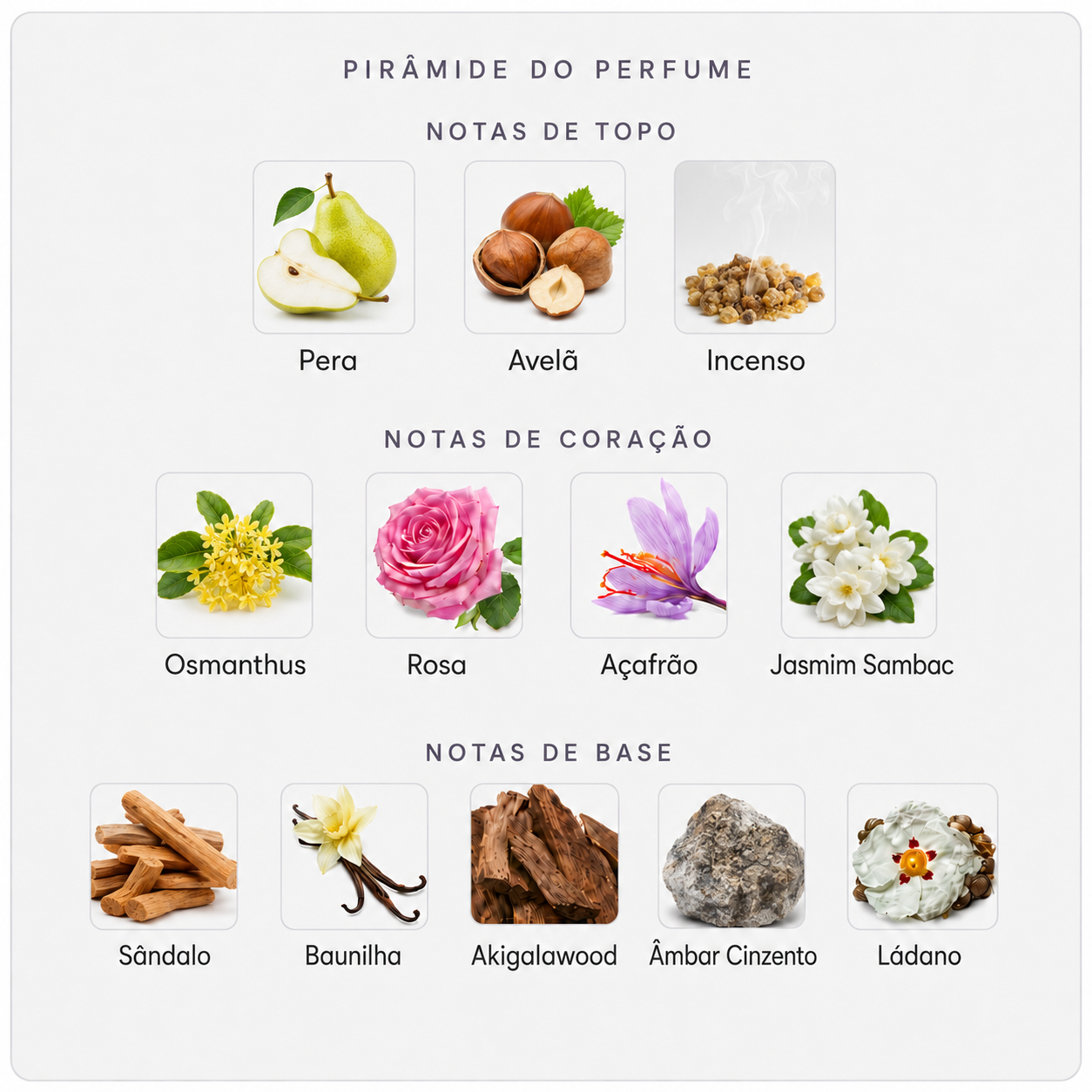 Pirâmide olfativa Amouage Guidance 46