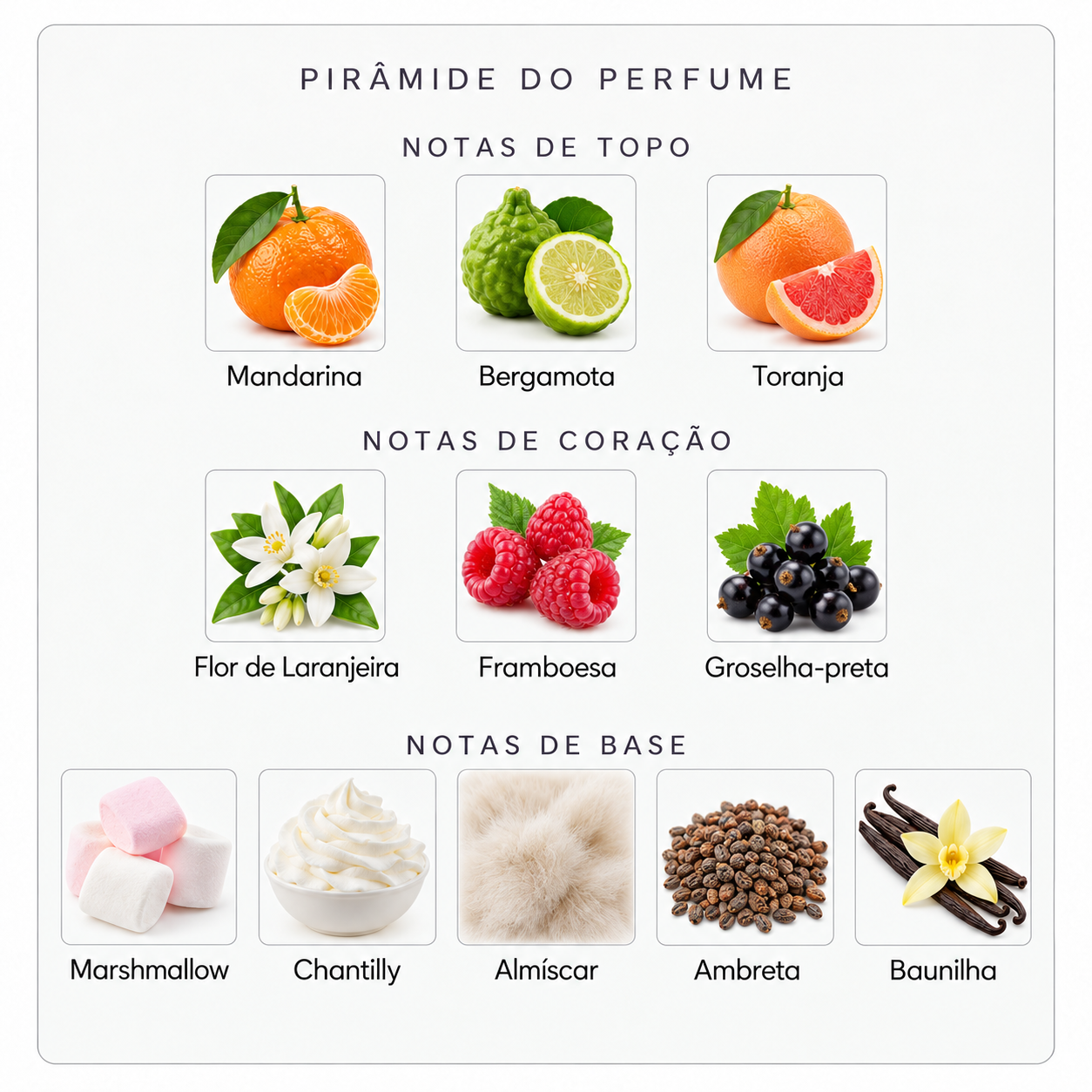 Pirâmide olfativa Parfums de Marly Oriana