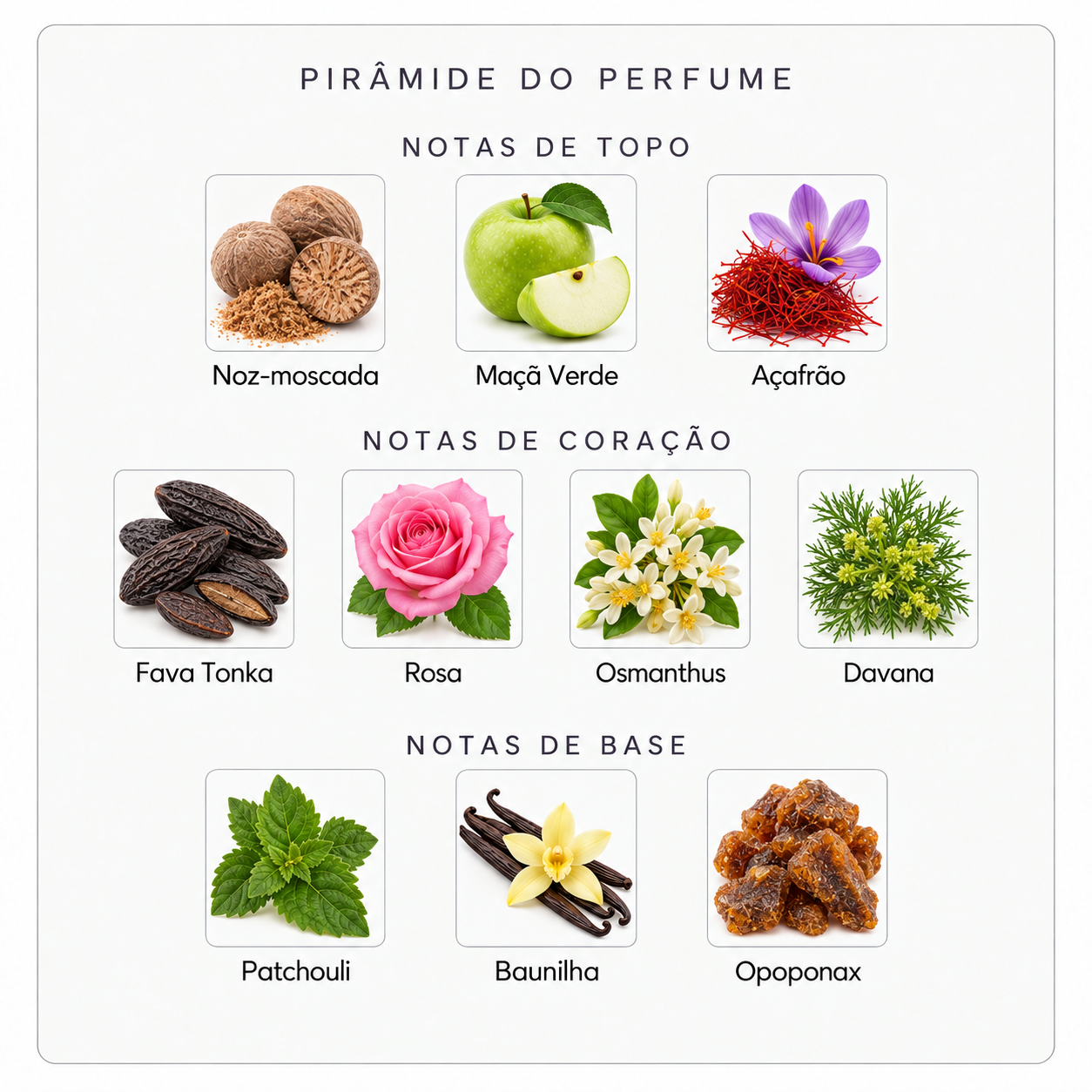 Pirâmide olfativa Parfums de Marly Carlisle