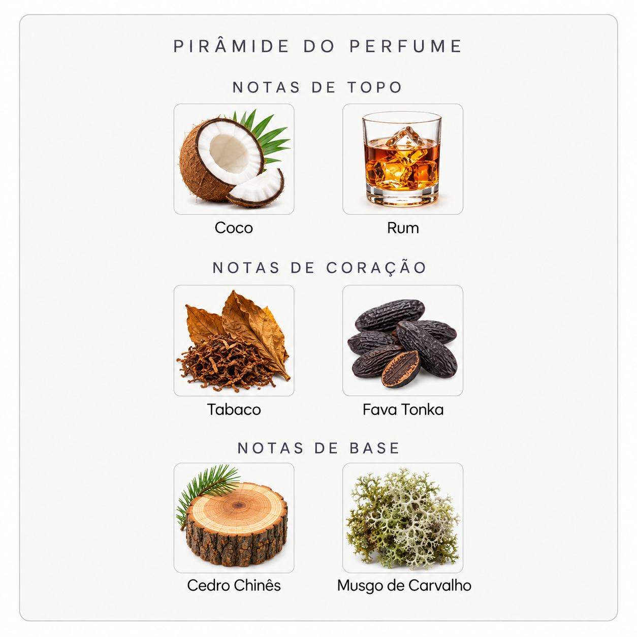Pirâmide olfativa do Nishane Fan Your Flames