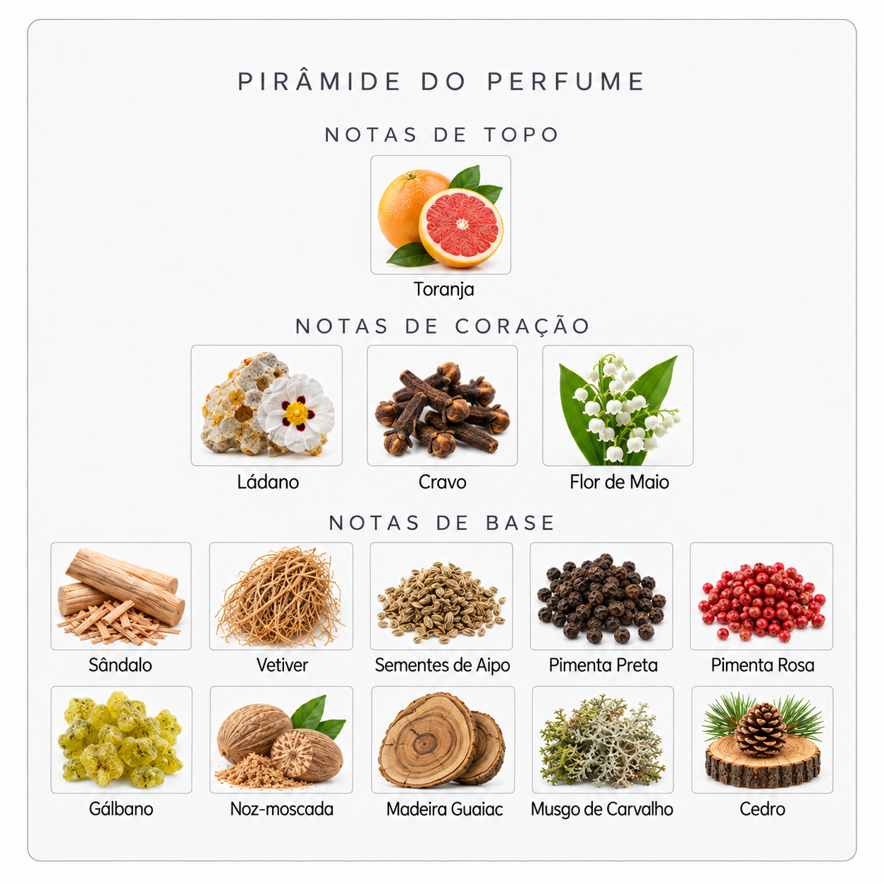 Pirâmide olfativa Sospiro Basso