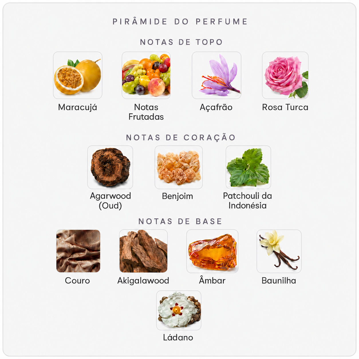 Pirâmide olfativa do Oud Maracujá