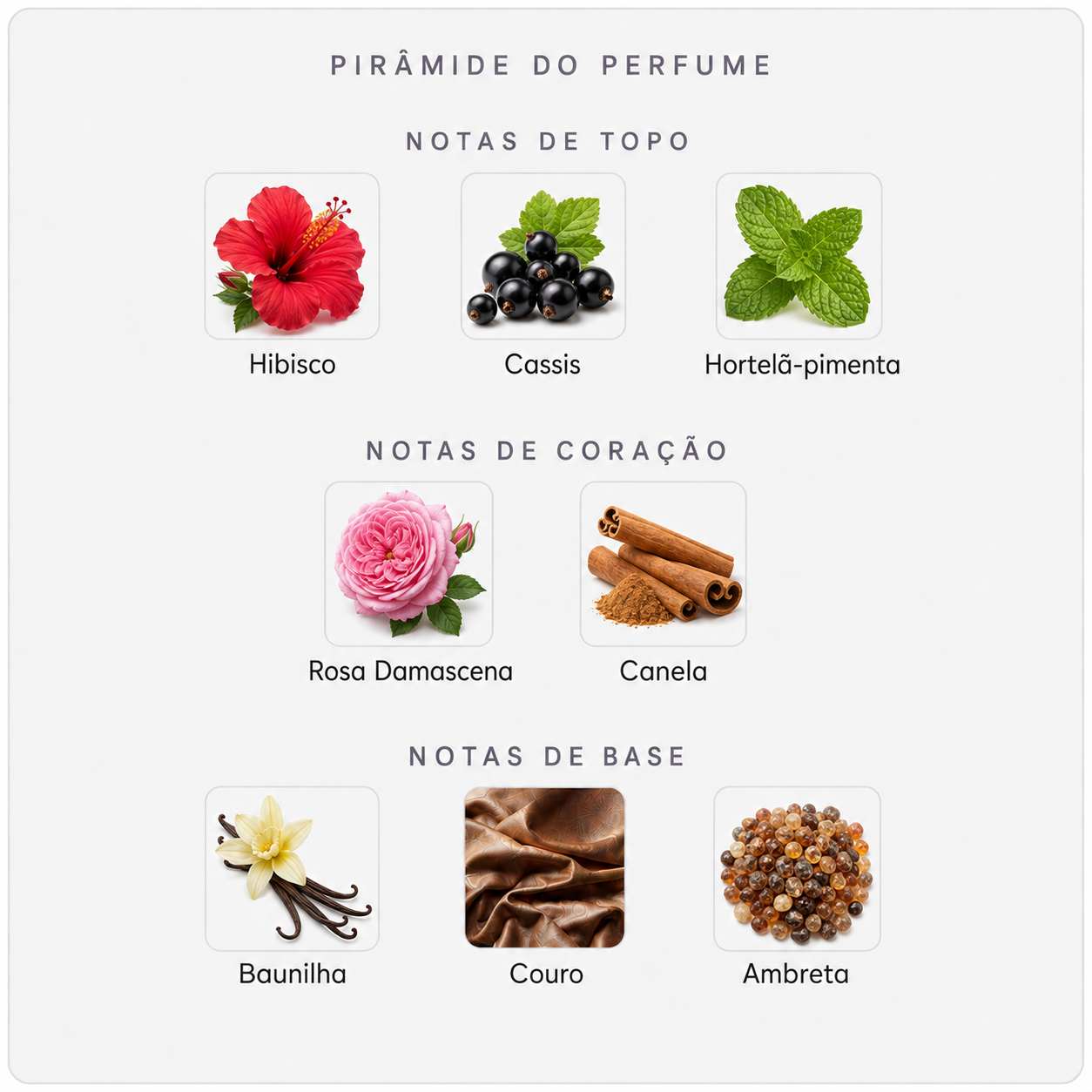 Pirâmide olfativa do Maison Crivelli Hibiscus Mahajád