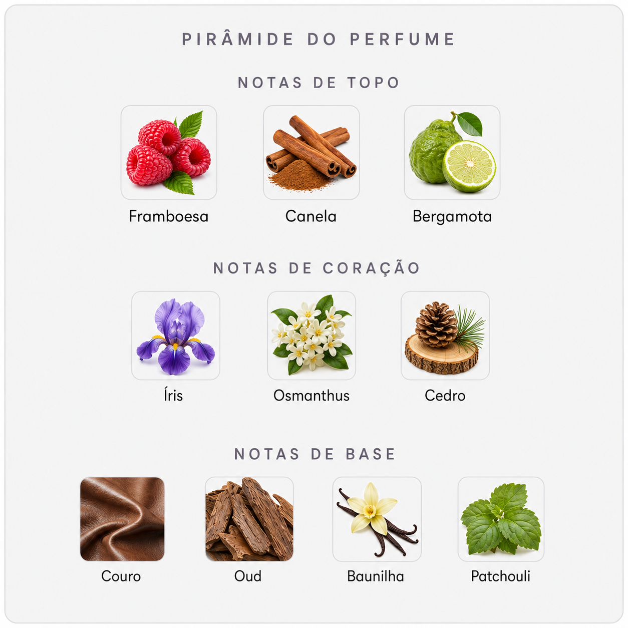 Pirâmide olfativa do Maison Crivelli Cuir InfraRouge