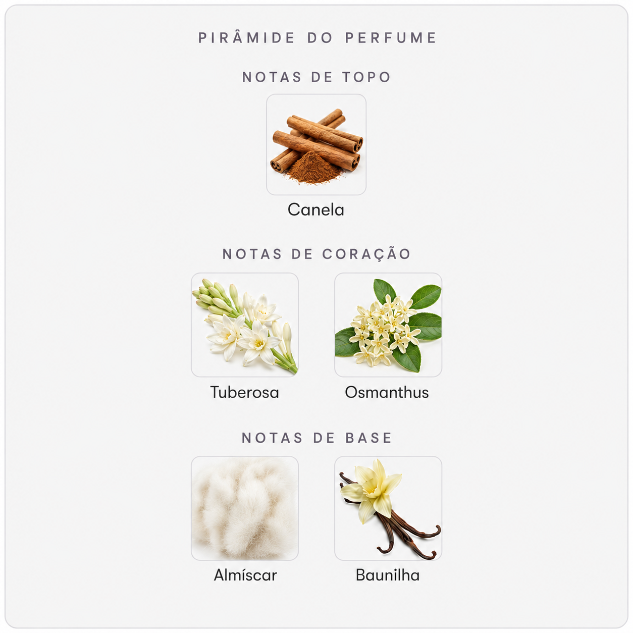 Pirâmide olfativa do Maison Crivelli Tubéreuse Astrale