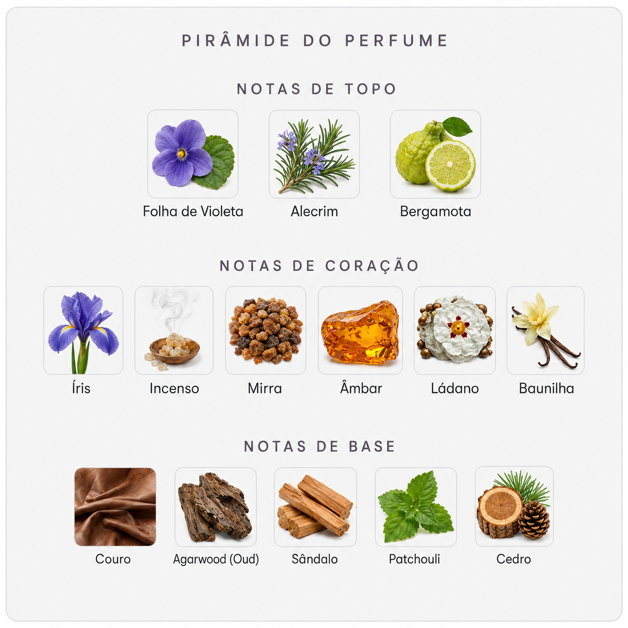 Pirâmide olfativa Amouage Decision