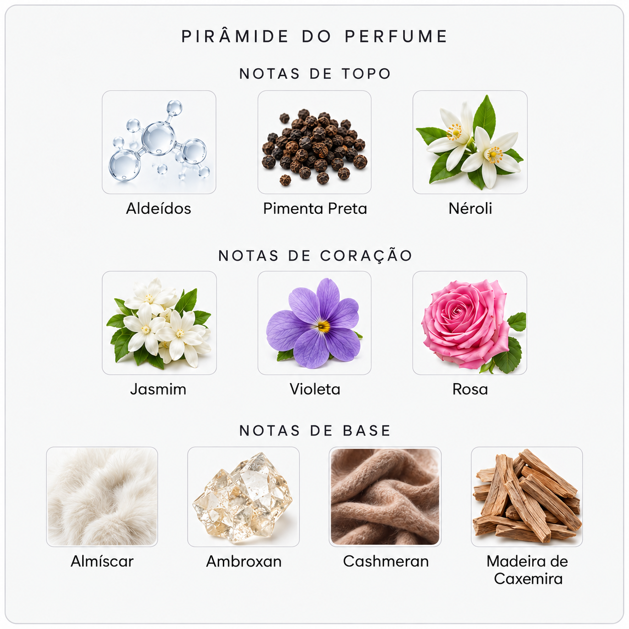 Pirâmide olfativa do Byredo Blanche Absolu