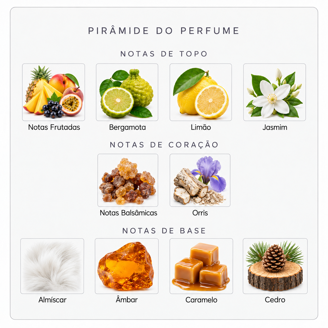 Pirâmide olfativa Sospiro Erba Pura Magica