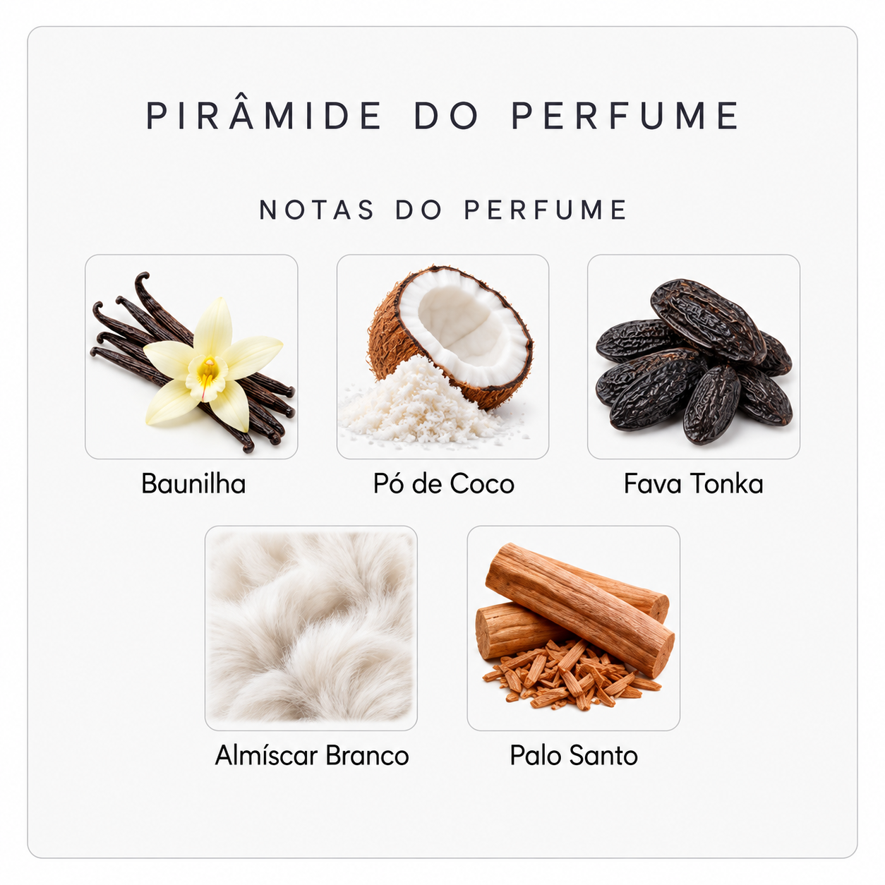 Notas olfativas do Vanilla Powder Extrait