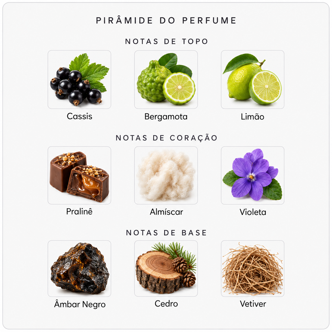 Pirâmide olfativa do Byredo Bal d’Afrique Absolu