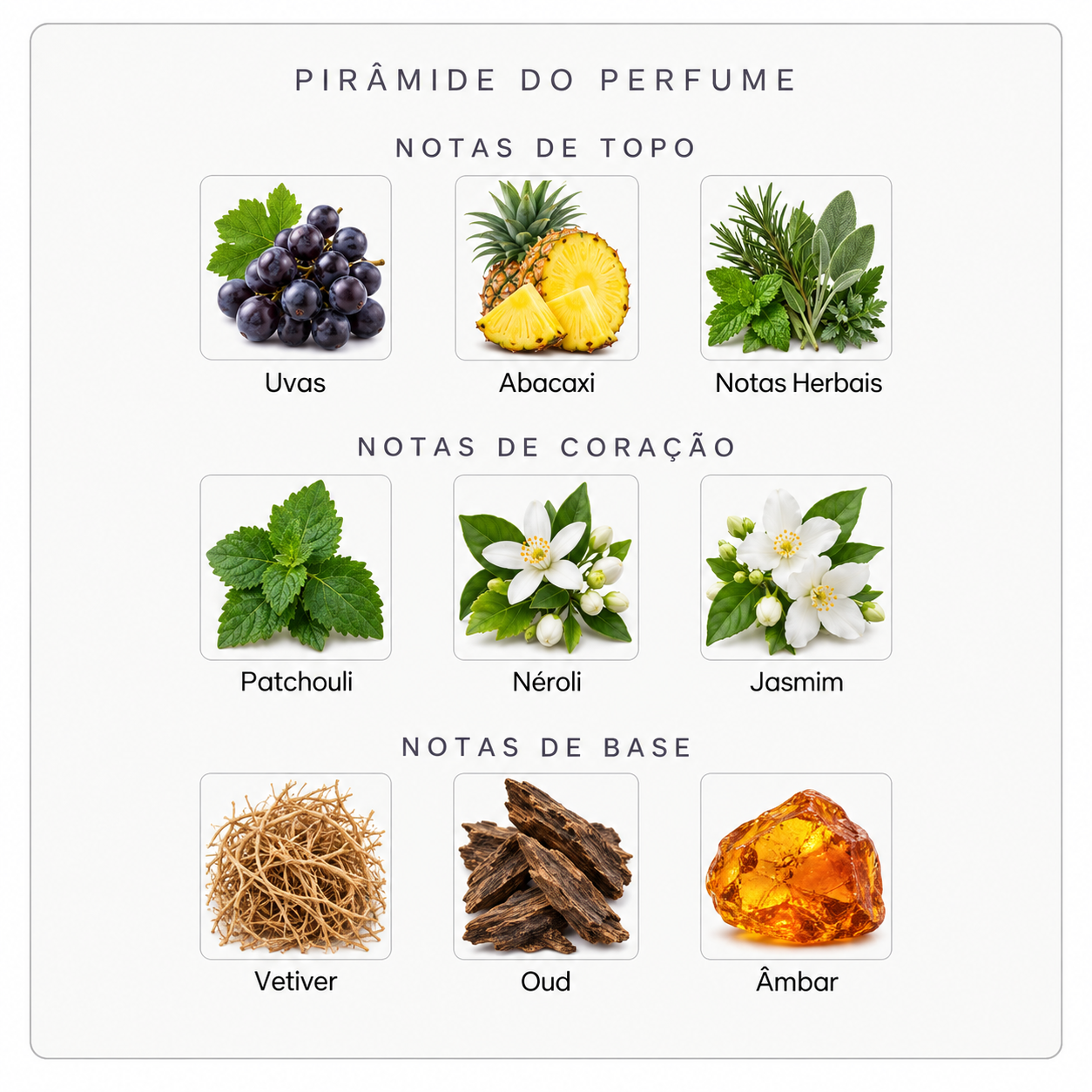 Pirâmide olfativa do Nishane Karagoz