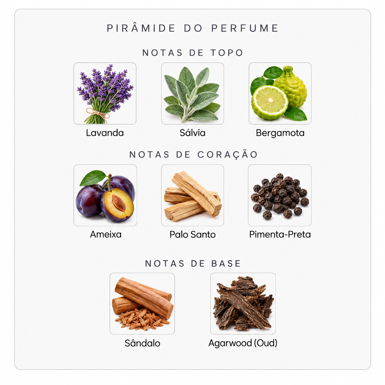 Pirâmide olfativa do Initio Paragon