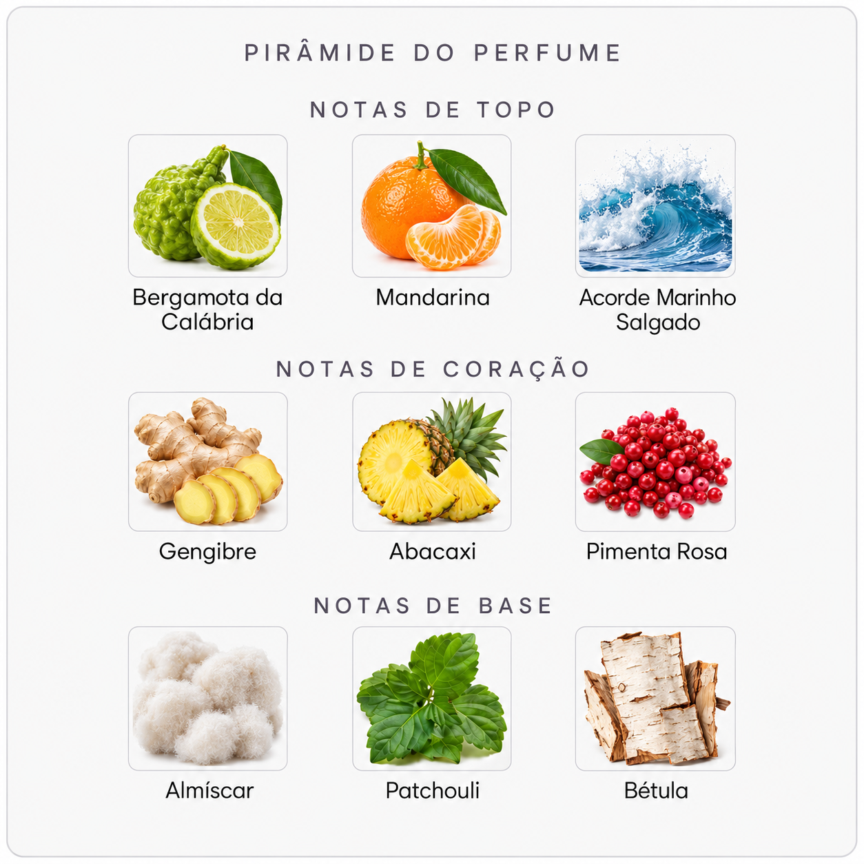 Pirâmide olfativa do Creed Aventus Cologne