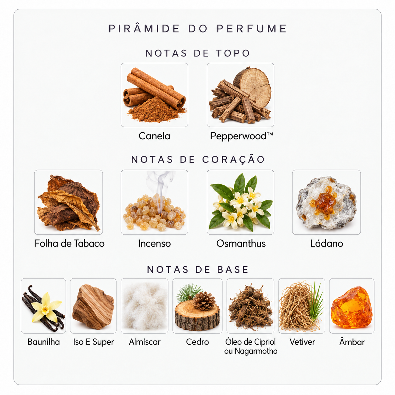 Pirâmide olfativa Parfums de Marly Herod