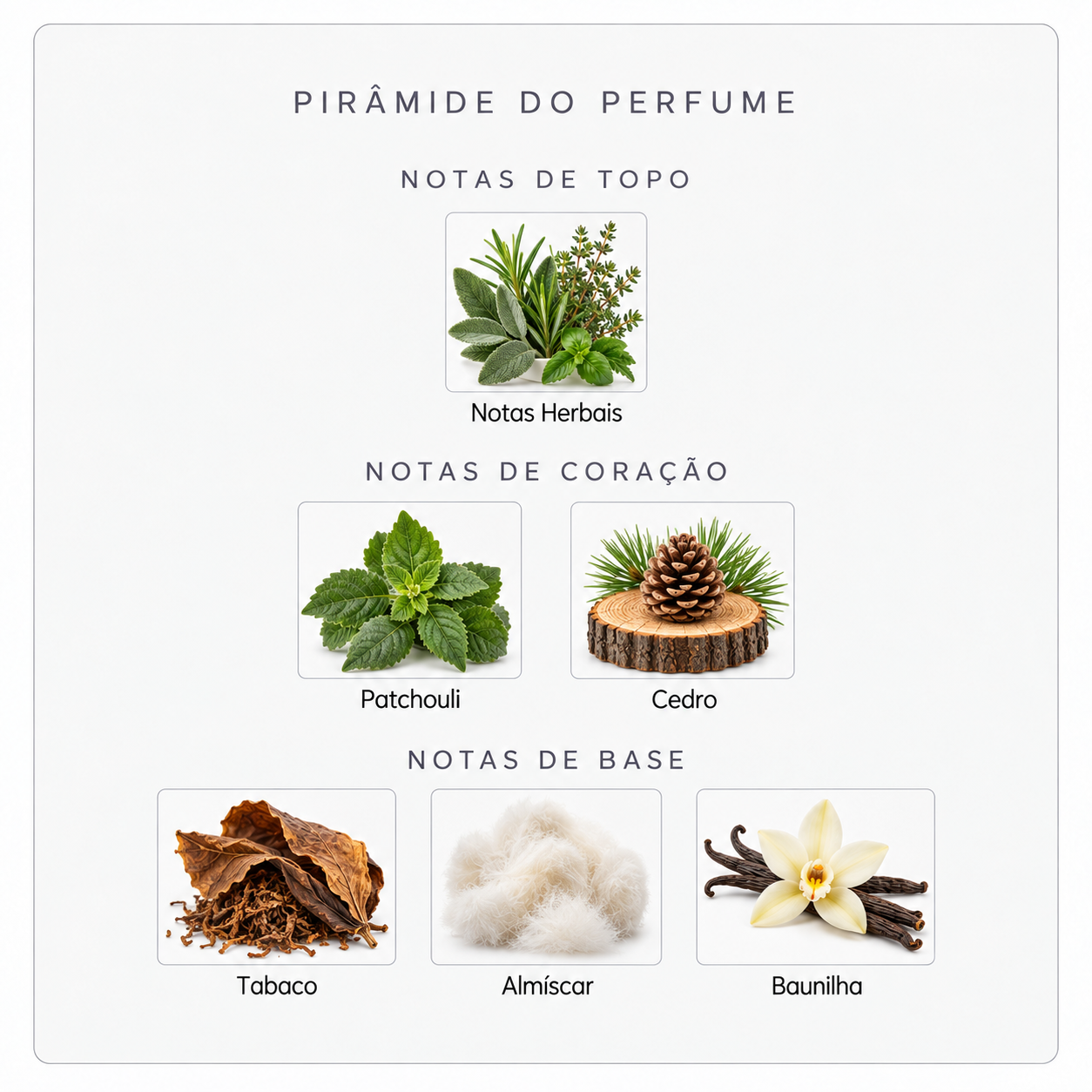 Pirâmide olfativa Sospiro Afgano Puro