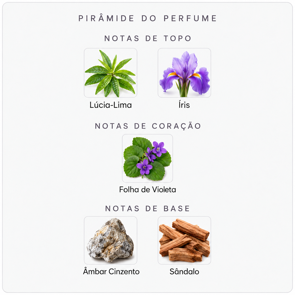 Pirâmide olfativa do Creed Green Irish Tweed