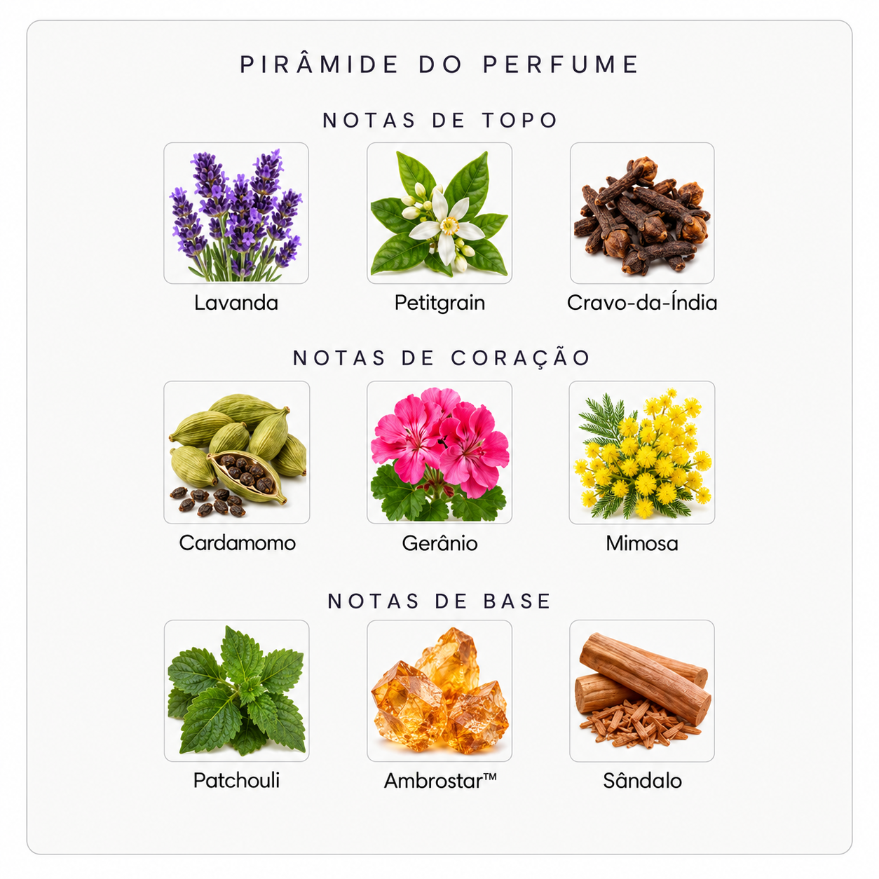 Pirâmide olfativa do perfume Mind Games Gambit