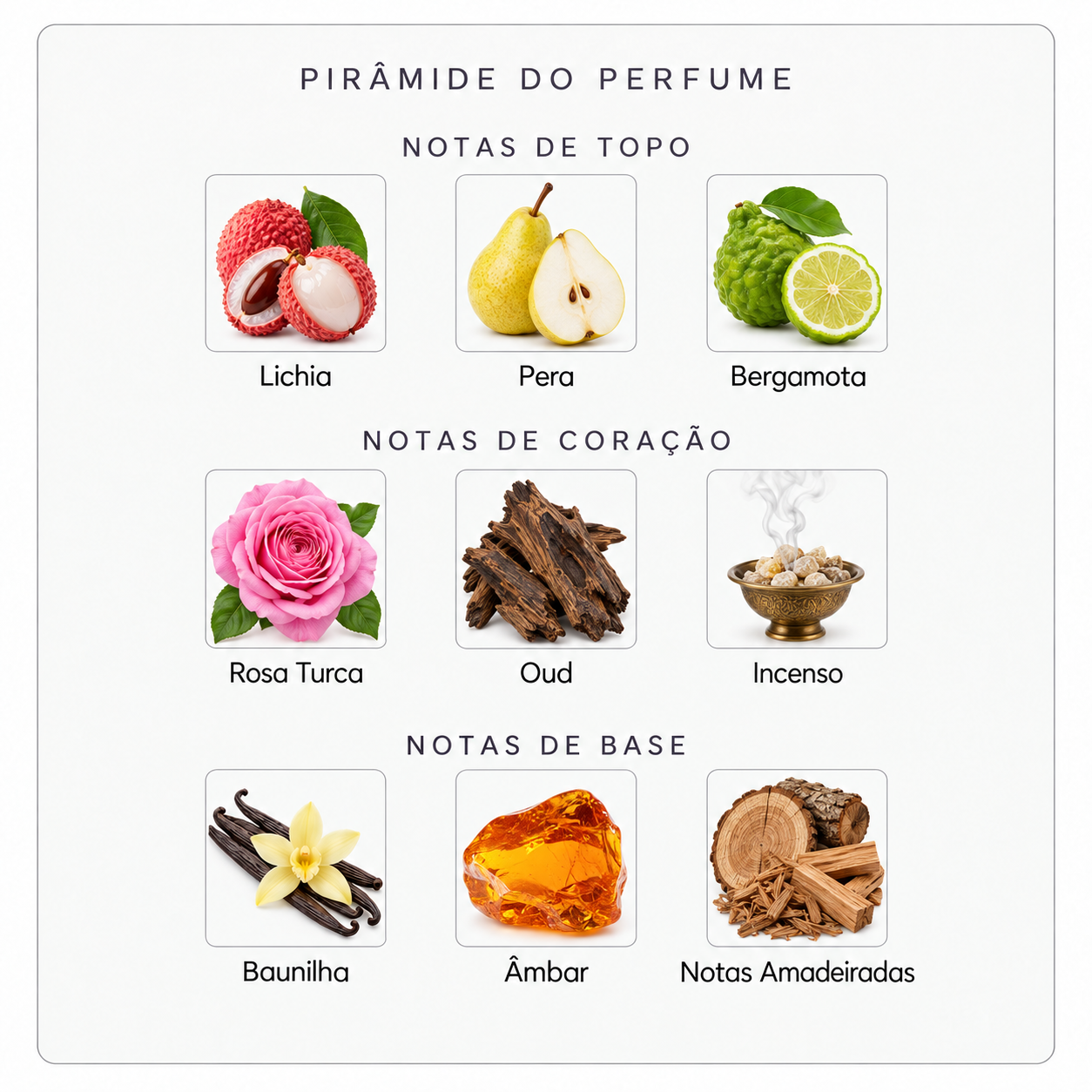 Pirâmide olfativa Parfums de Marly Delina Exclusif