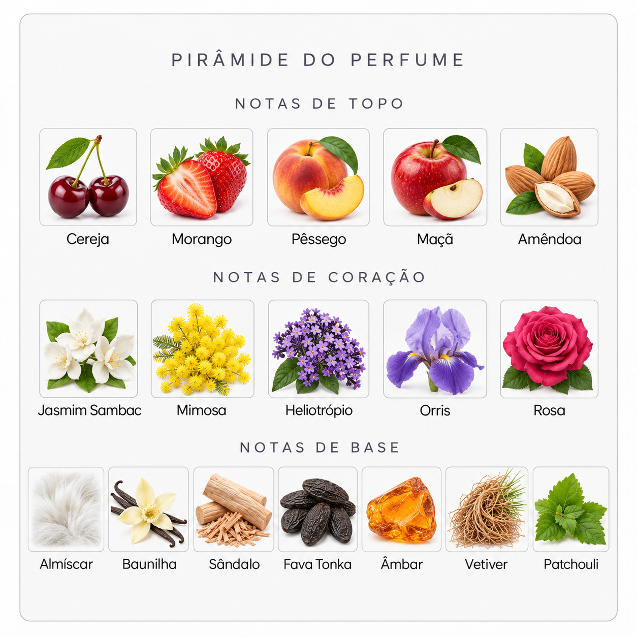 Pirâmide olfativa Sospiro Maraschino