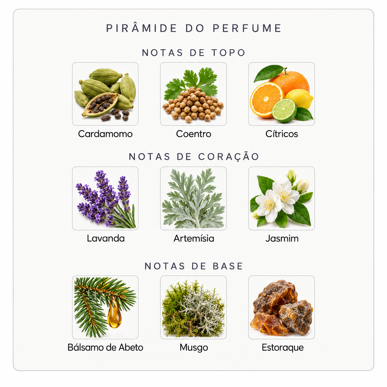 Pirâmide olfativa do Nishane Papilefiko