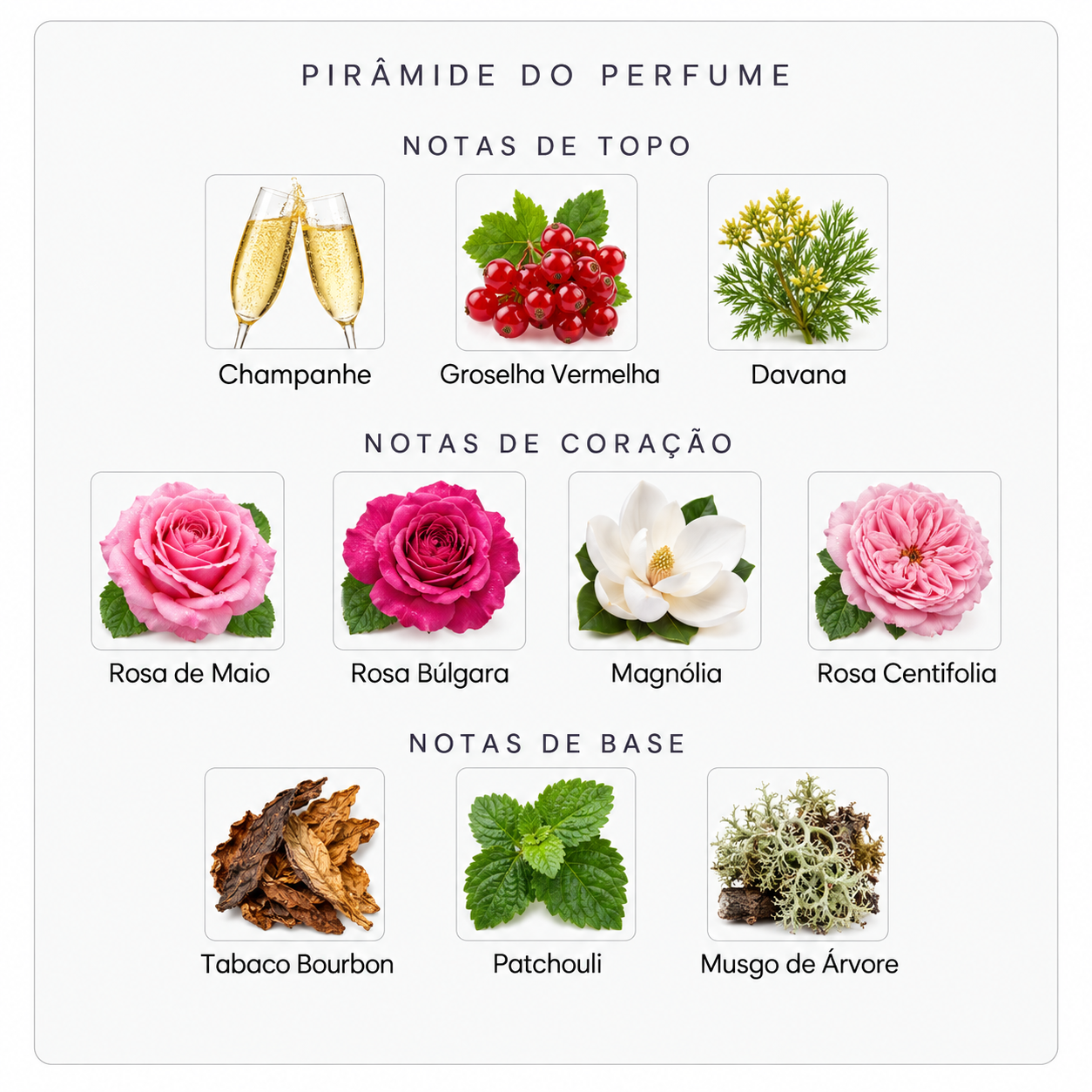 Pirâmide olfativa do perfume Mind Games Checkmate