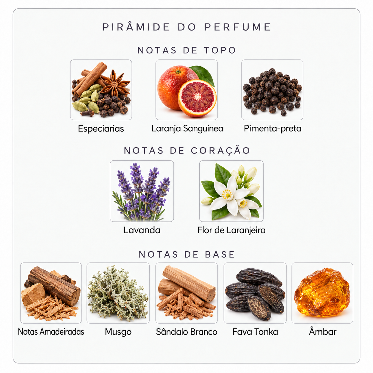 Pirâmide olfativa Parfums de Marly Kalan