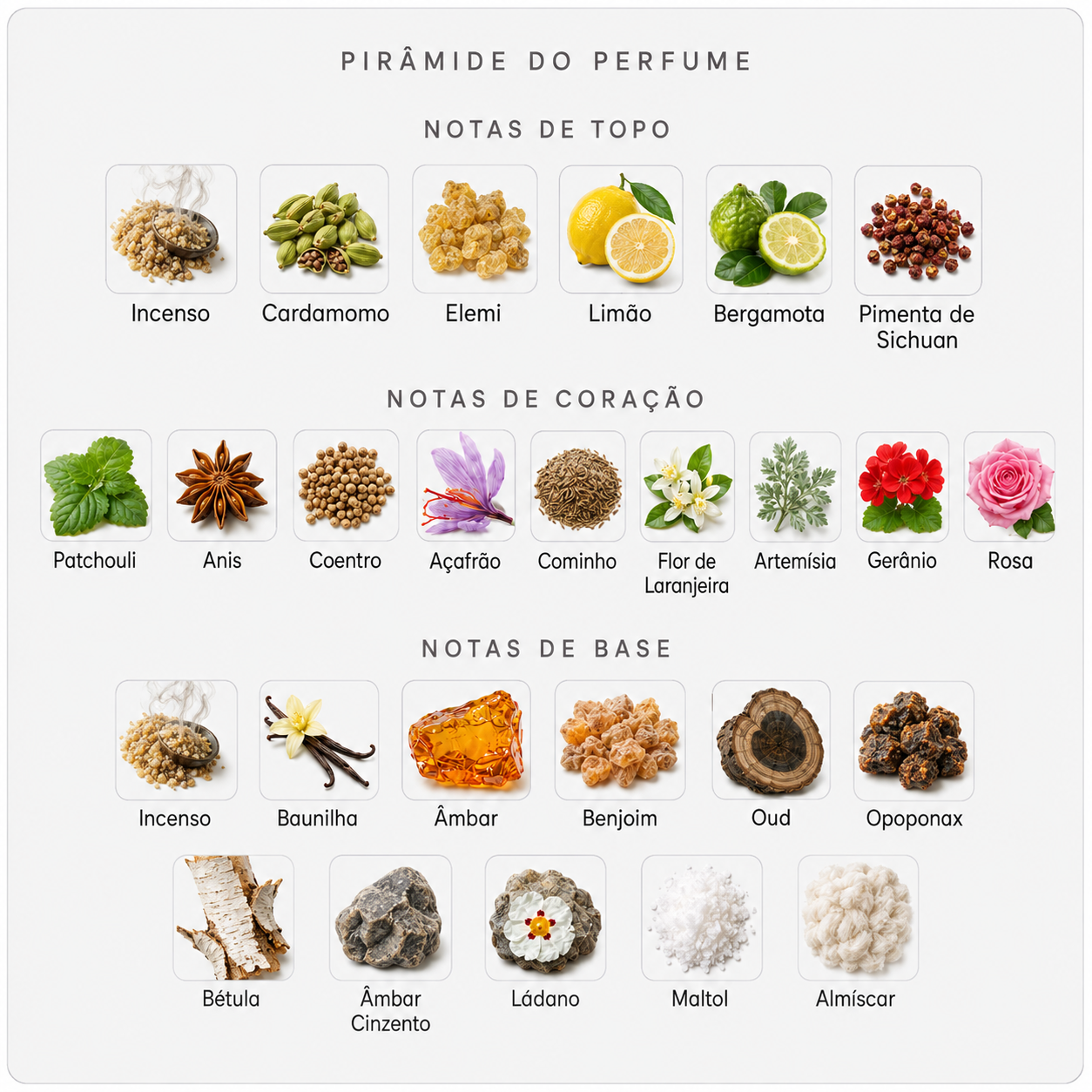 Pirâmide olfativa Amouage Outlands