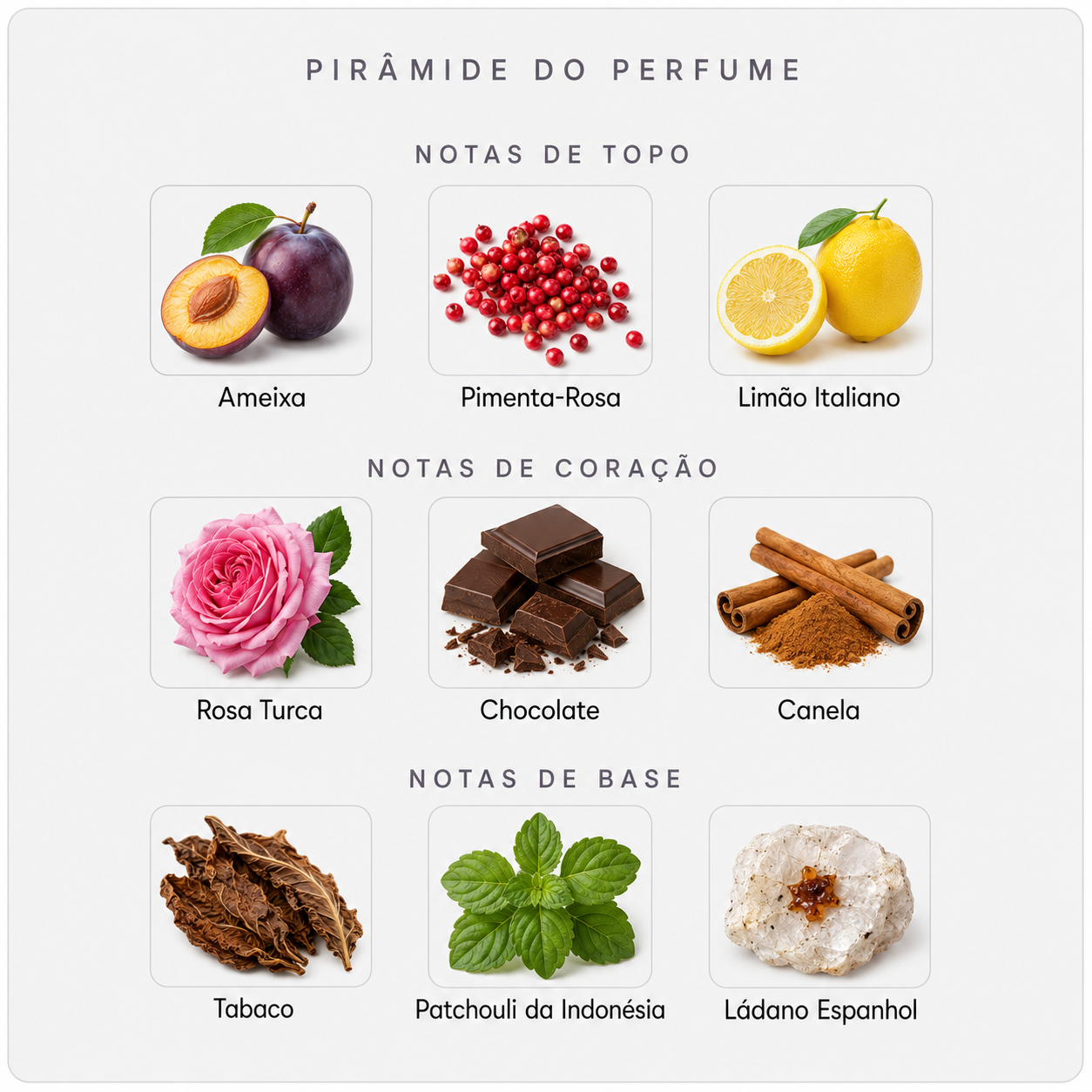 Pirâmide olfativa do BDK Tabac Rose